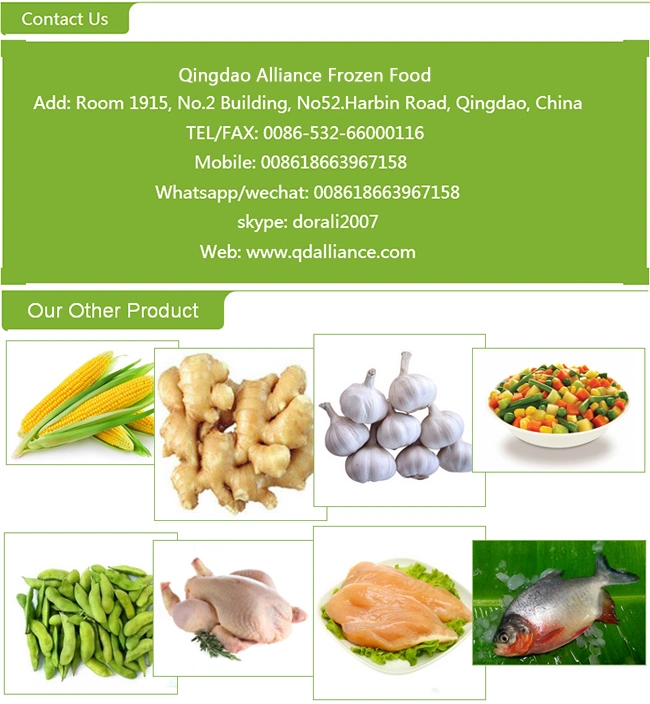 Halal Brc ISO Frozen IQF China Green Beans Green Peas for Salad Breakfast in Bulk Retail Packing with Factory Price