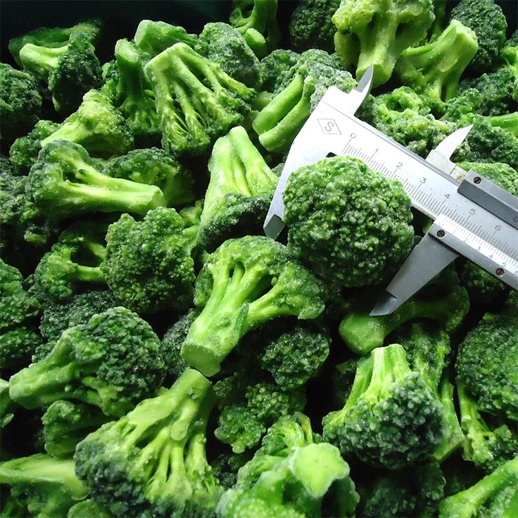 Frozen Broccoli IQF Frozen Vegetable