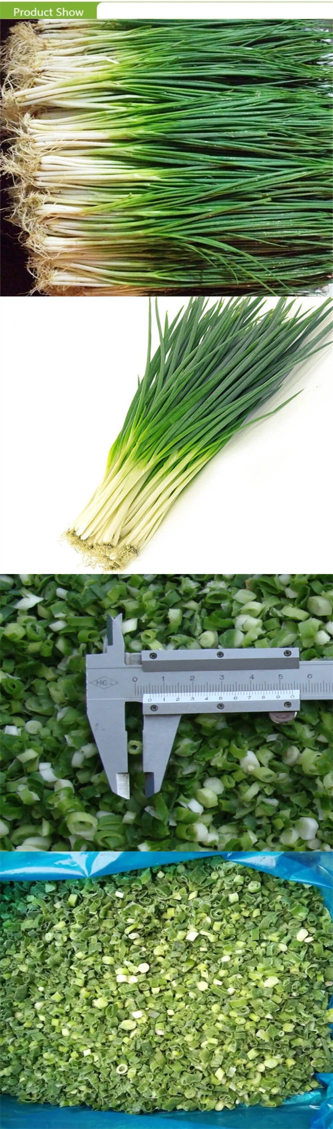 2021 High Quality IQF Diced Chives with Competitive Price