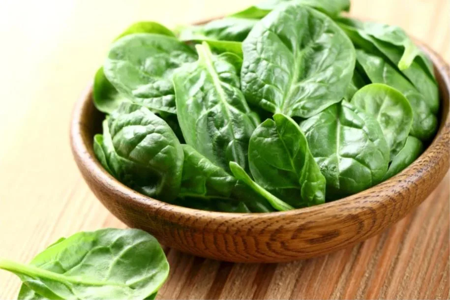 Fresh Chopped Spinach for Sale Frozen Spinach Frozen Vegetables