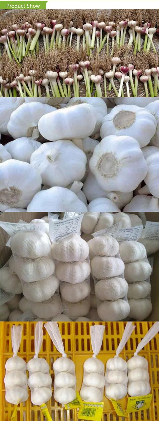 IQF Frozen Garlic Cloves with Competitive Price Brc a