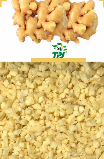 Frozen Crushed Ginger Diced in Cube, IQF Organic Ginger