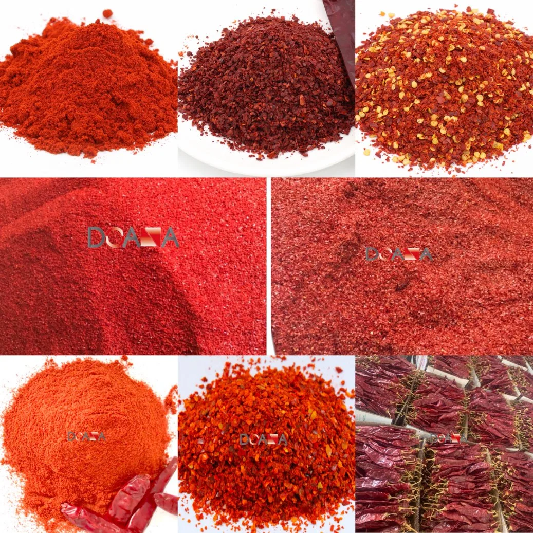 Popular Sale Sweet Paprika Powder Red Chilli