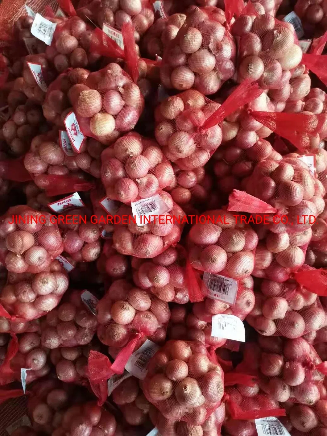 Whole Wholesale Red Yellow White Green Skin Crop Peeled Purple Organic Frozen Fresh Vegetable Onion Price From Factory Supplier