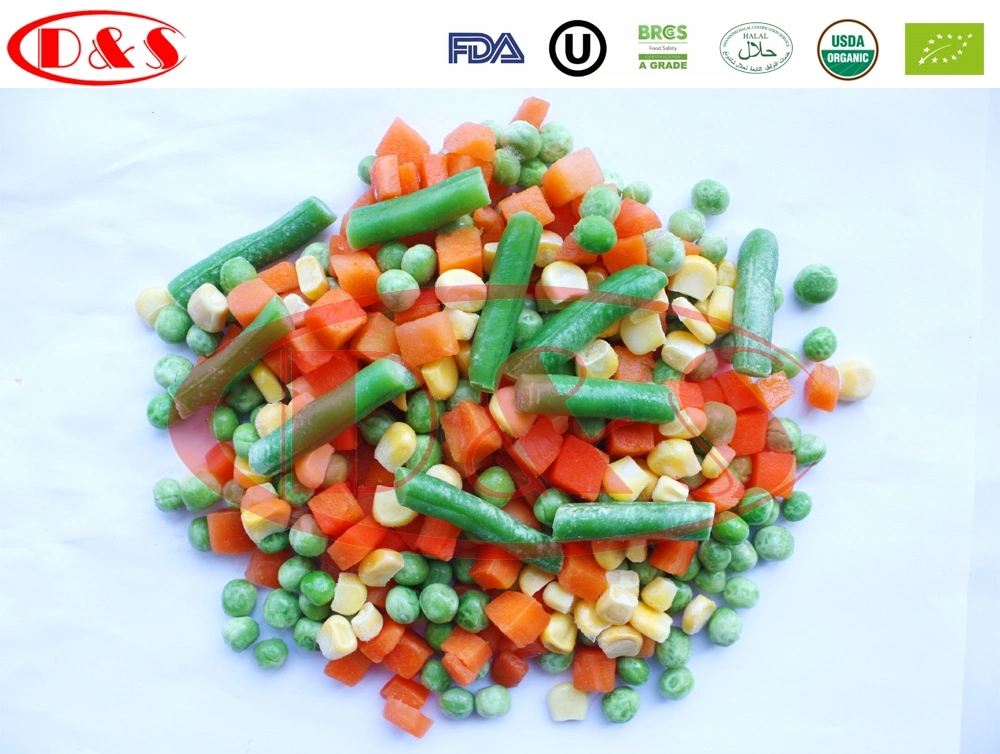 China Vegetables IQF Frozen Carrot Dice/Slice