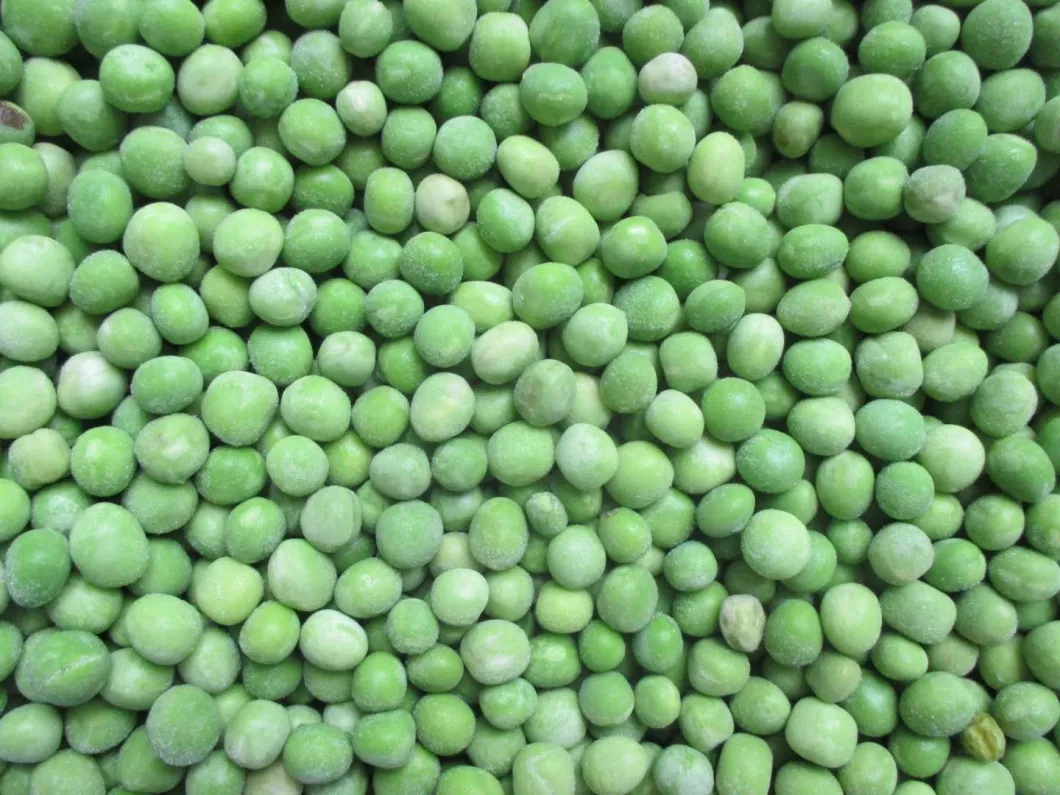 Frozen Vegetable IQF Frozen Green Peas
