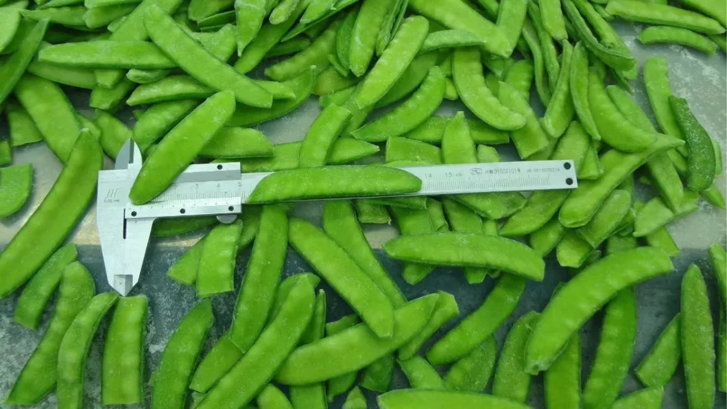 High Quality IQF Frozen Pea Pod/Snow Peas OEM with Factory Price