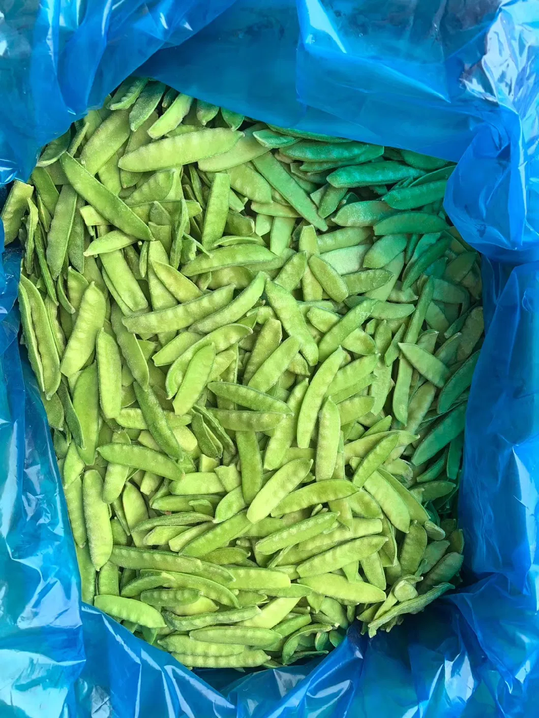 High Quality IQF Frozen Pea Pod/Snow Peas OEM with Factory Price