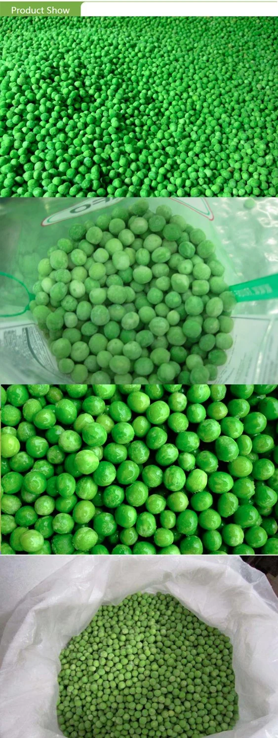 Hot Sale Frozen IQF Vegetable Green Peas with High Quality Factory Price Salad Breakfast