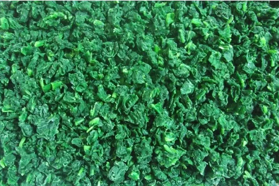 Processed Spinach Cut High Quality IQF Chopped Spinach 3/8&quot;, Frozen Vegetable