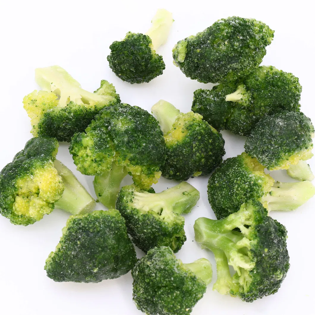 IQF Broccoli Frzoen Broccoli High Quality Frozen Vegetables