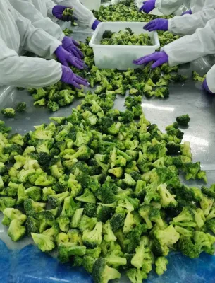 Nutrition Green IQF Vegetable Frozen Broccoli Flowers From China Factory
