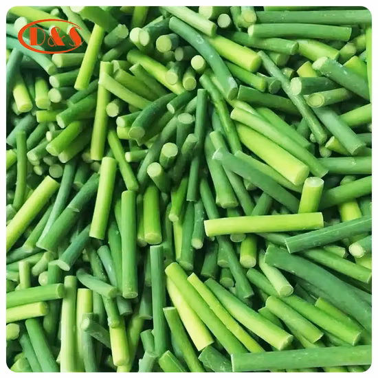 Hot Sale Vegetable Green Frozen Young Garlic Sprout Shoot Sprouts