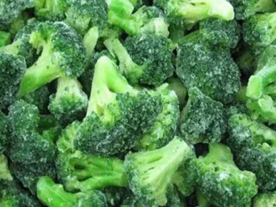 IQF Broccoli Frzoen Broccoli High Quality Frozen Vegetables