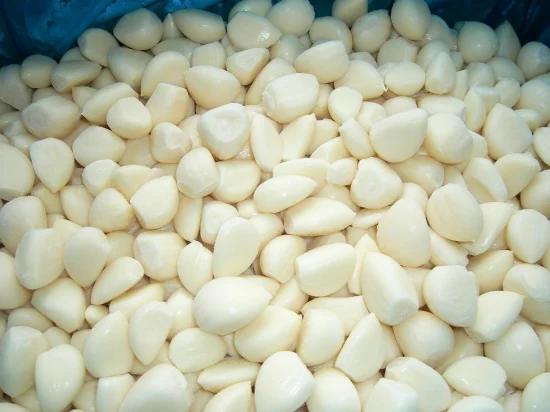 Frozen Garlic Puree Tablet with EU Standard