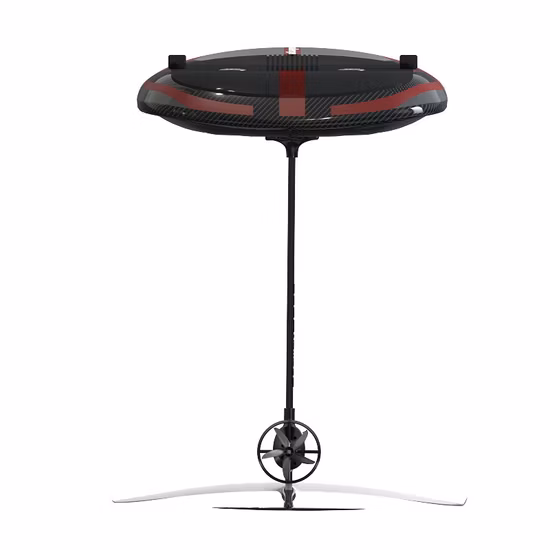 Price Concessions/Direct Supply From The Origin/Fresh Garlic/Frozen Garlic/Dry Garlic