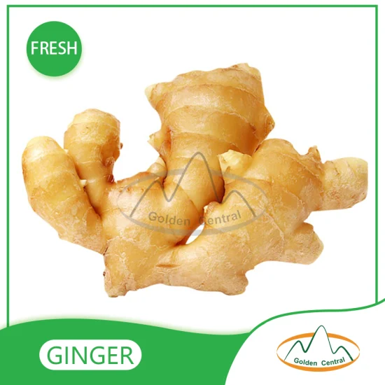 Best Quality New Crop Frozen Fresh Ginger
